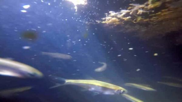 Fotó: Tószögi György