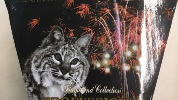 Ez az egyik pirotechnikai eszköz, amelyet visszavontak. Forrás: police.hu