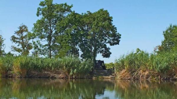 Fotó: Tószögi György