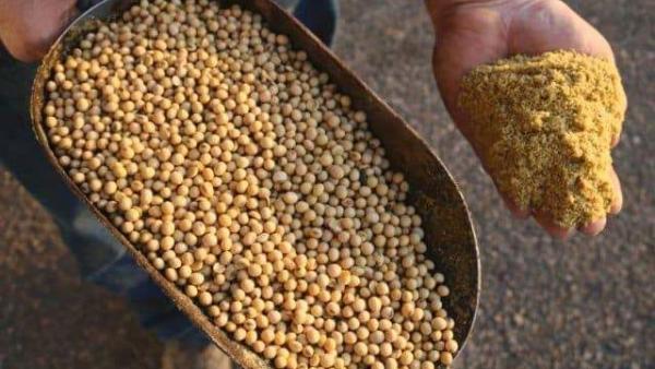 fotó: agrarszektor.hu