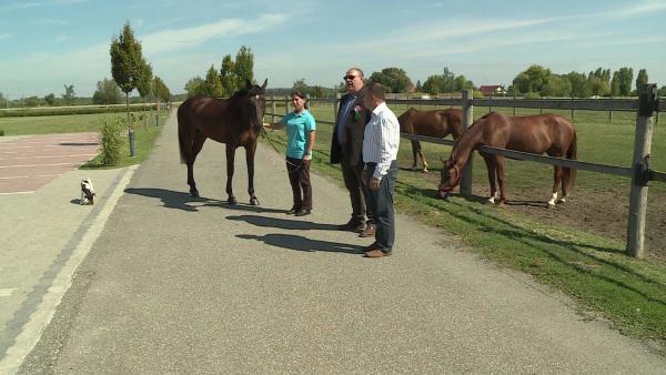 fotó: Ujházi György