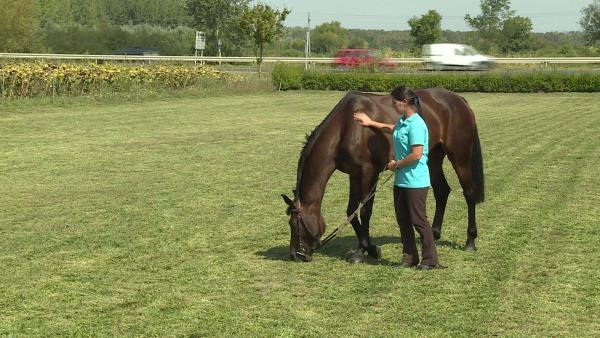 A kép illusztráció