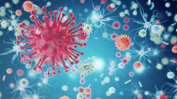 Fotó forrás: avert.org