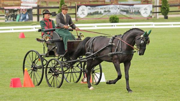 fotó: menesbirtok.hu