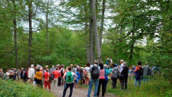 fotó: muzsikalazerdo.hu