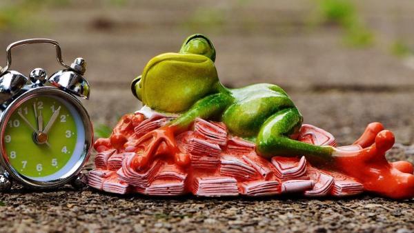 Illusztráció: pixabay.com