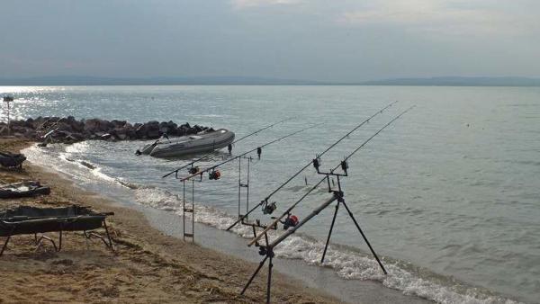 Fotó: Tószögi György