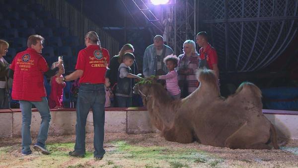 (Fotó: Tóth Áron)