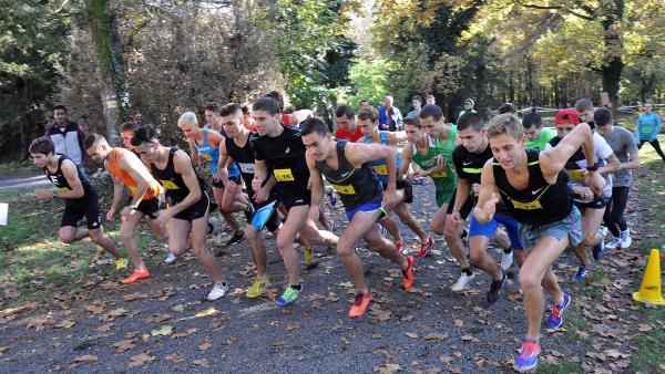 Illusztráció (Fotó: Kopp Békéscsabai Atlétikai Club)