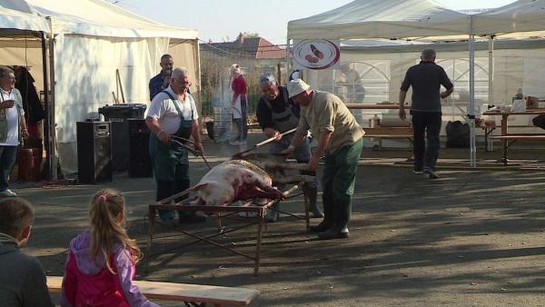 (Fotó: Tóth Áron)