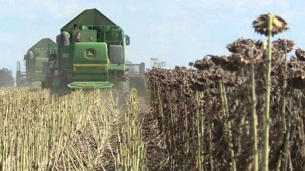 (Fotó: Ujházi György)