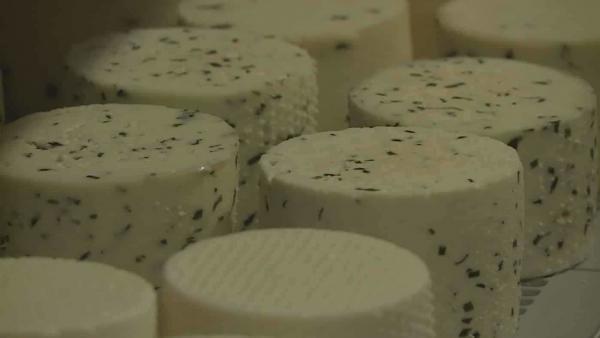 Mozzarella. Archív fotó: Kugyelka Attila