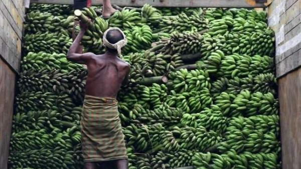 fotó: AFP/Biju Boro