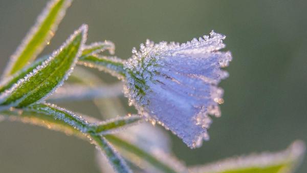 MTI fotó: Varga György