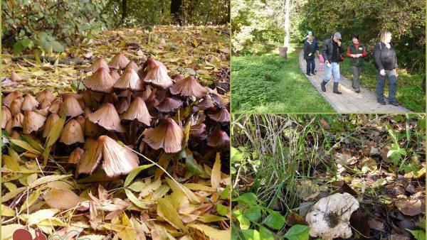 Fotó: Körös-Maros Nemzeti Park