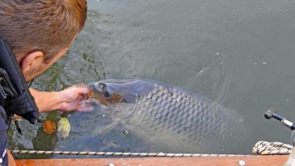 Küldd nagyanyádat! – Fotó: Székely Tibor