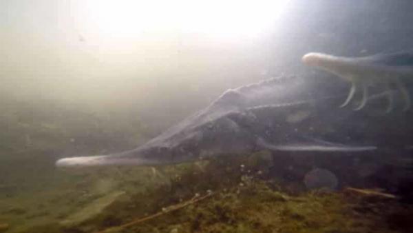 Fotó: Tószögi György