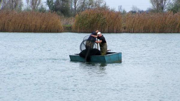 Illusztráció - Törpeharcsa szelektáló halászat a békéscsabai Fás-tavon (Fotó: Nemes Attila)