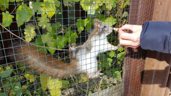 Fotó: Kovács Dénes