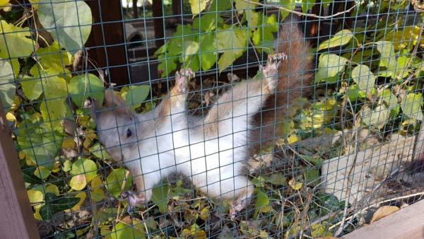  Fotó: Kovács Dénes