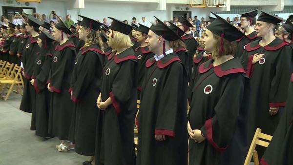 Illusztráció (Fotó: Kovács Dénes)