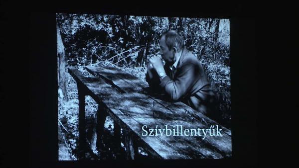 Fotó: Ujházi György