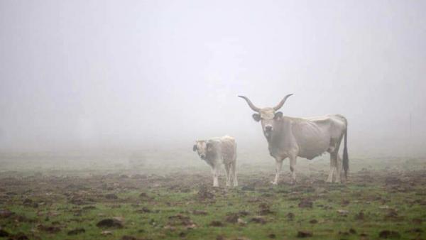 Fotó: Boldog Gusztáv