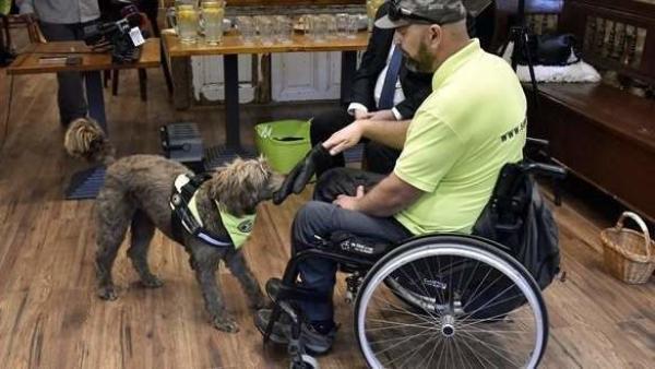 MTI fotó: Máthé Zoltán