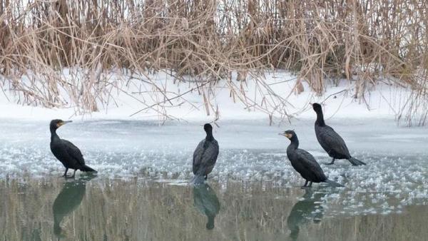 Fotó: Tószögi György