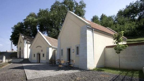 A Dereszla Pincészet Bodrogkeresztúron. Fotó: csodarabbikutja.hu