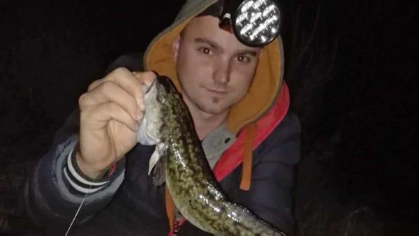 Fotó: Laukó Zoltán