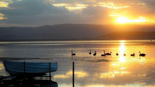 Illusztráció: pixabay.com