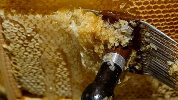 Illusztráció (Fotó: hirado.hu)