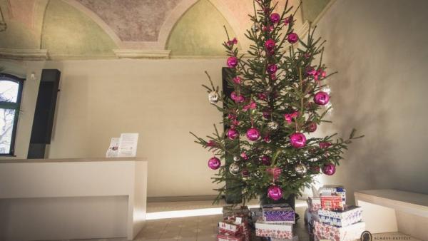 Fotók: gyulakult.hu