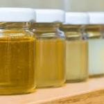 fotó: agroinform.hu