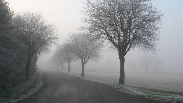 Illusztráció (Fotó: pexels.com)