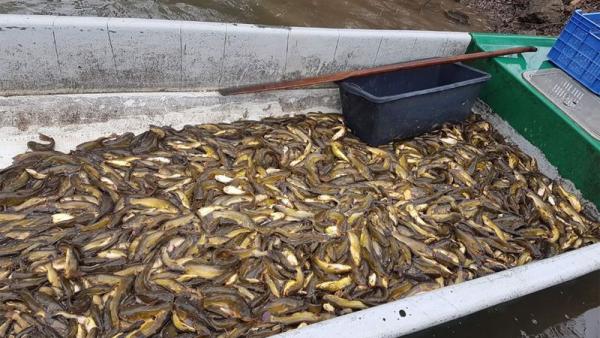 Fotó: Lustyik Gábor