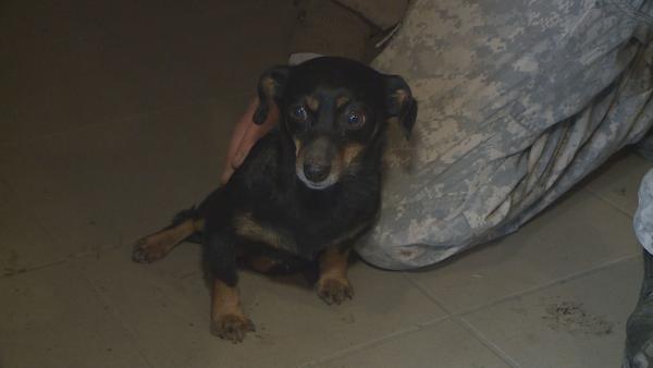 Ő még várja, hogy szilveszter után végre újra otthon lehessen