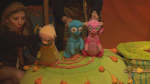 (Fotó: Kugyelka Attila)