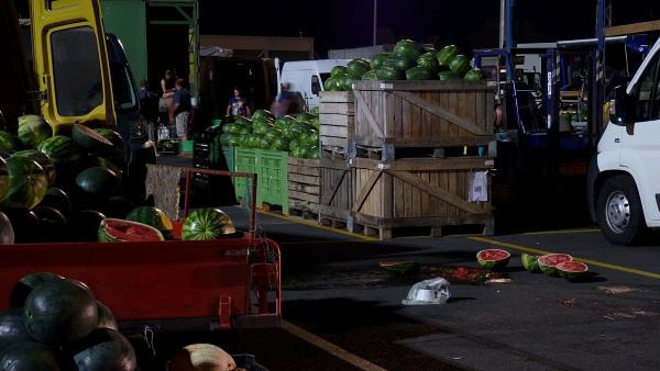 (Fotó: Erdődi Katalin)