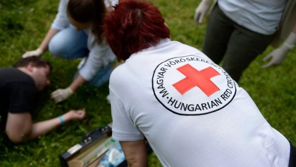 MTI fotó: Kovács Tamás