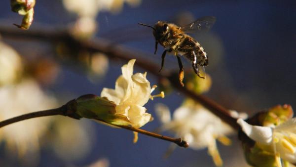 MTI fotó: Varga György
