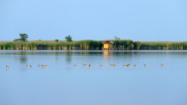 Fotó: Tószögi György