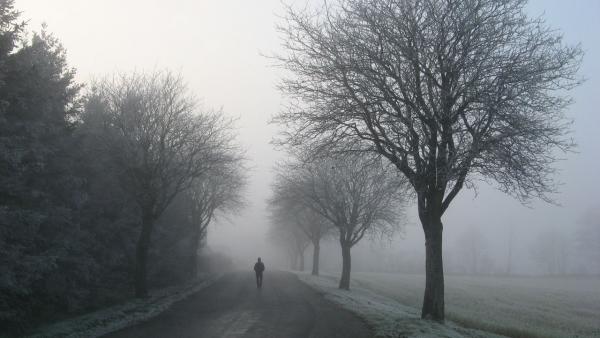 Illusztráció (Fotó: pexels.com)