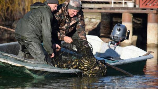Fotó: Bogdány Zoltán