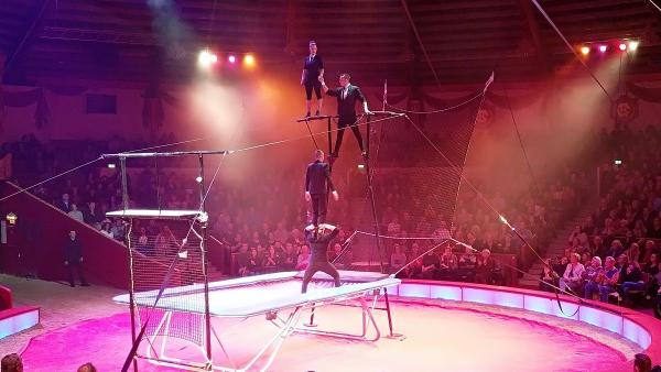 (Fotó: Fővárosi Nagycirkusz)