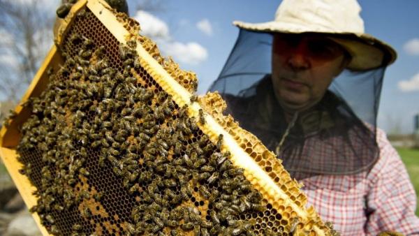 Illusztráció (MTI Fotó: Rosta Tibor)