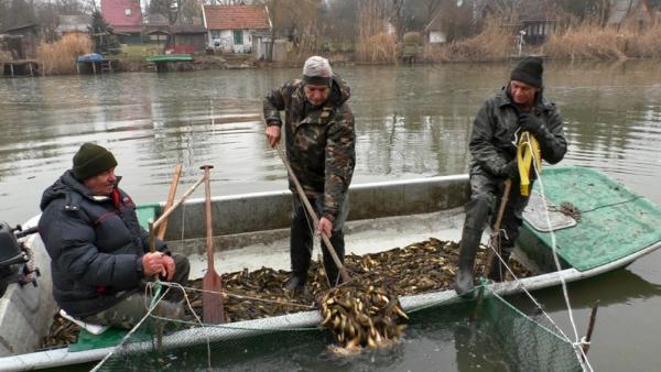 Fotó: Tószögi György