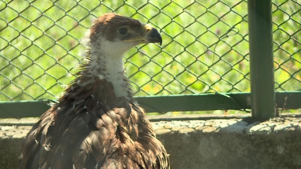 Fotó: Kugyelka Attila