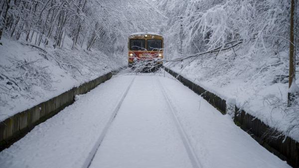 Illusztráció: MTI fotó/Sóki Tamás